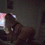 PassTrsp
