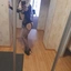 Kristina27
