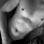 Ankis