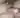 DenDenych
