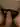 Unknown152107