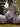 Fatslavepig33