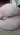 Юля