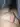 kondey