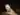 Andrey100771