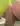Andy93